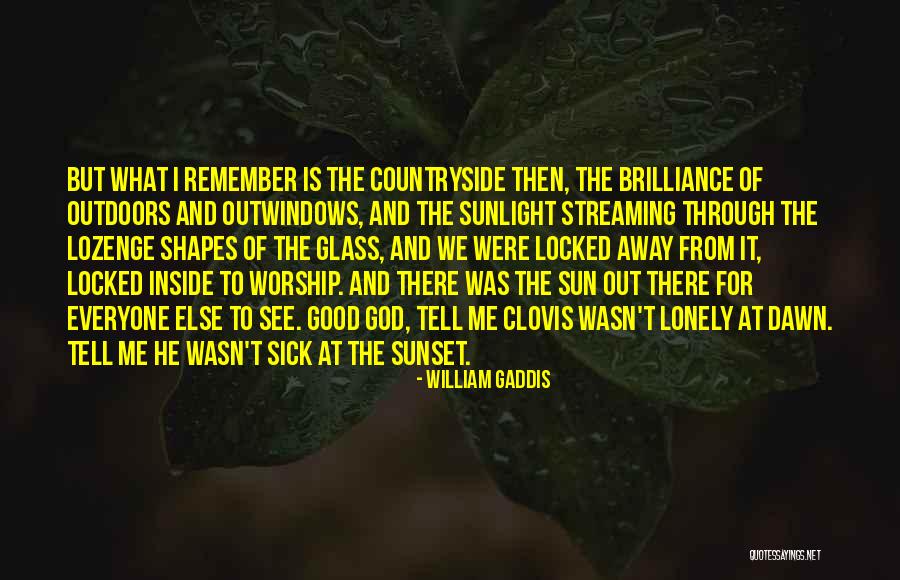 Sun Worship Quotes By William Gaddis Sun Worship Quotes By William Gaddis