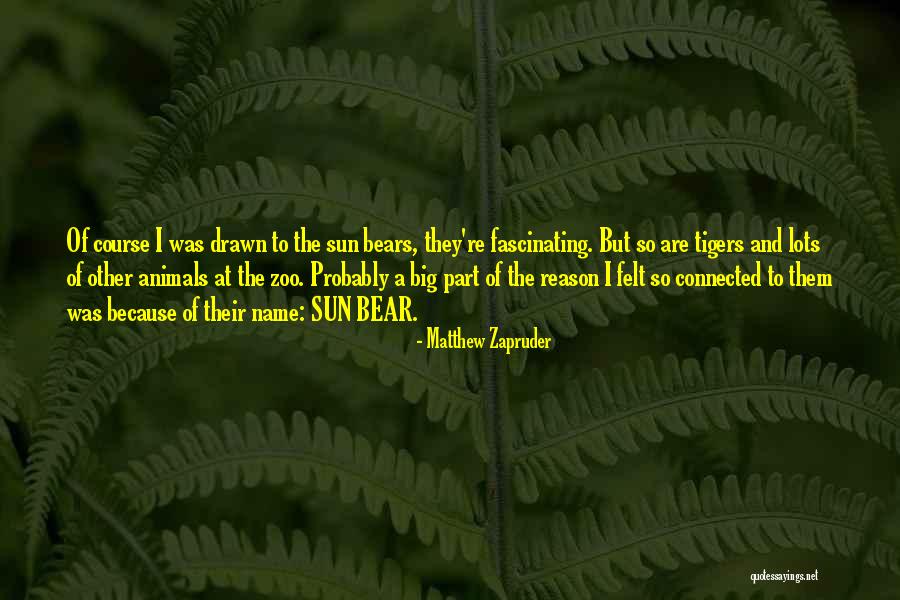 Sun Zoo Quotes By Matthew Zapruder Sun Zoo Quotes By Matthew Zapruder