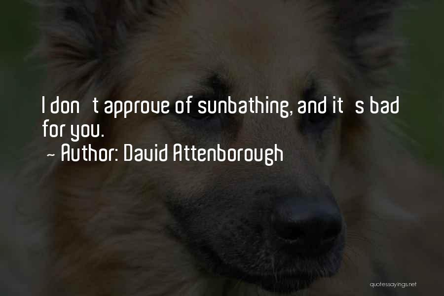 Sunbathing Quotes By David Attenborough