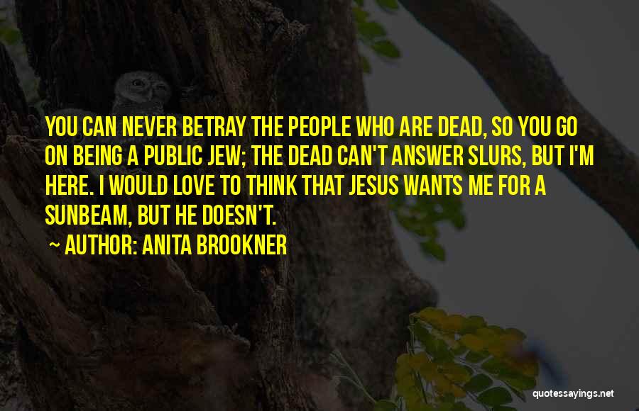 Sunbeam Love Quotes By Anita Brookner