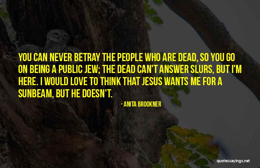 Sunbeam Quotes By Anita Brookner Sunbeam Quotes By Anita Brookner