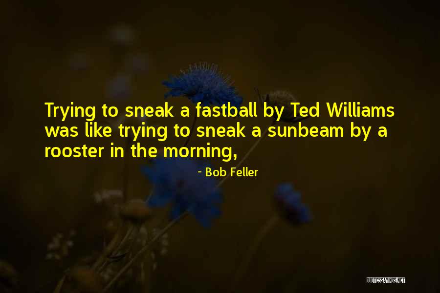 Sunbeam Quotes By Bob Feller Sunbeam Quotes By Bob Feller