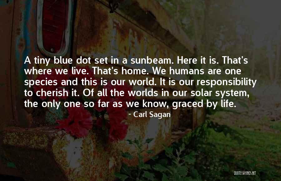 Sunbeam Quotes By Carl Sagan Sunbeam Quotes By Carl Sagan