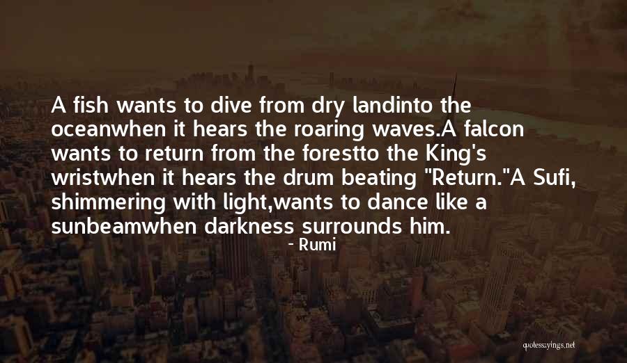 Sunbeam Quotes By Rumi Sunbeam Quotes By Rumi