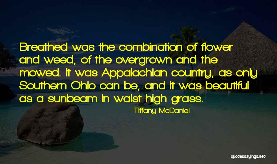 Sunbeam Quotes By Tiffany McDaniel Sunbeam Quotes By Tiffany McDaniel