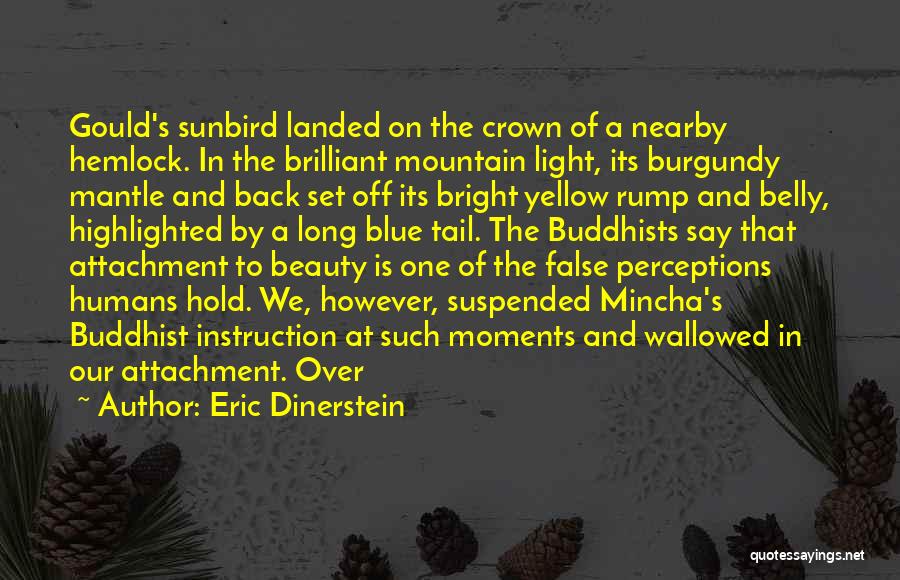 Sunbird Quotes By Eric Dinerstein