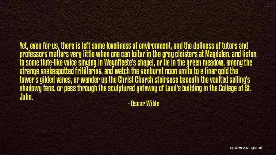 Sunburnt Quotes By Oscar Wilde Sunburnt Quotes By Oscar Wilde