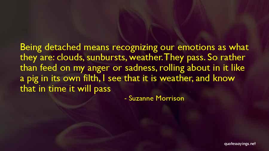 Sunbursts In Quotes By Suzanne Morrison Sunbursts In Quotes By Suzanne Morrison