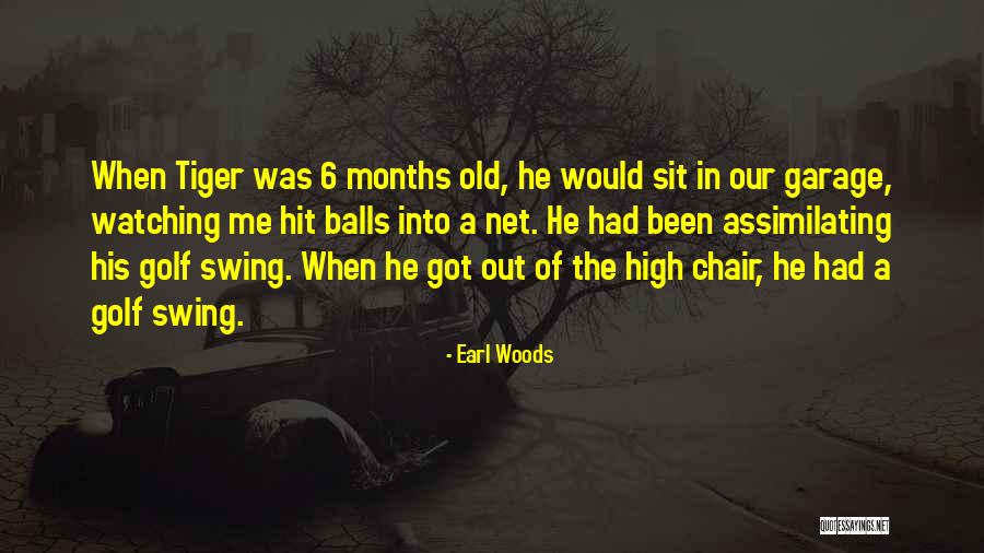 Sundaram Mutual Quotes By Earl Woods Sundaram Mutual Quotes By Earl Woods