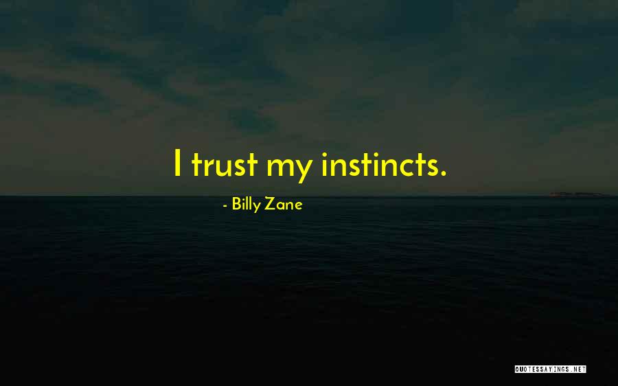 Sundararajan Jayachandran Quotes By Billy Zane Sundararajan Jayachandran Quotes By Billy Zane