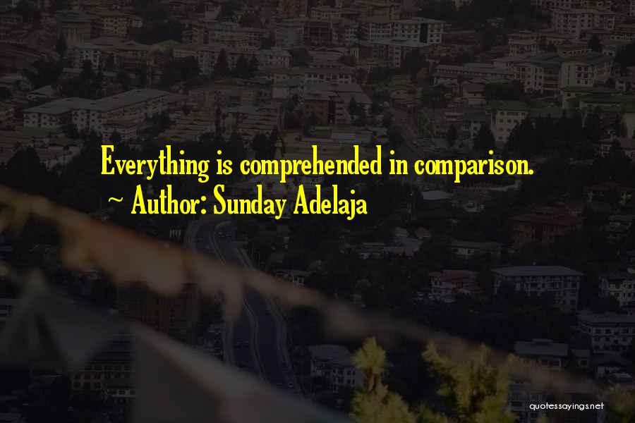 Sunday Adelaja Quotes 1010898