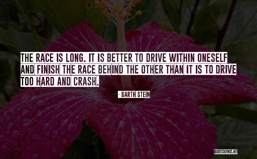 Sunday Afternoon Cruising Quotes By Garth Stein Sunday Afternoon Cruising Quotes By Garth Stein