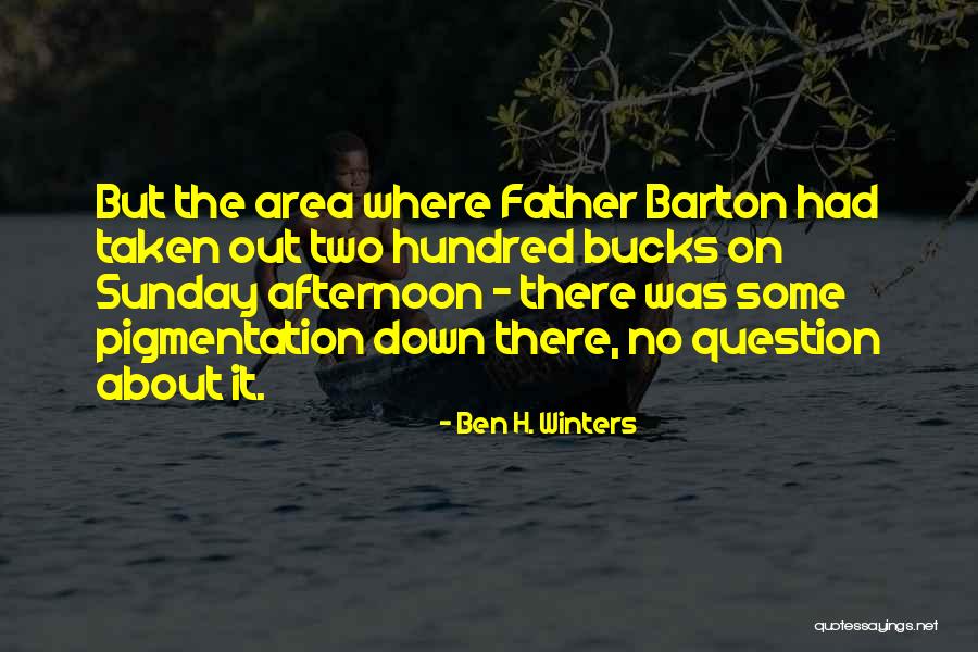 Sunday Afternoon Quotes By Ben H. Winters