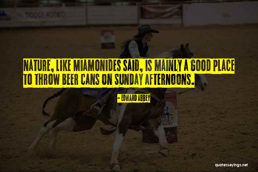 Sunday Afternoon Quotes By Edward Abbey Sunday Afternoon Quotes By Edward Abbey