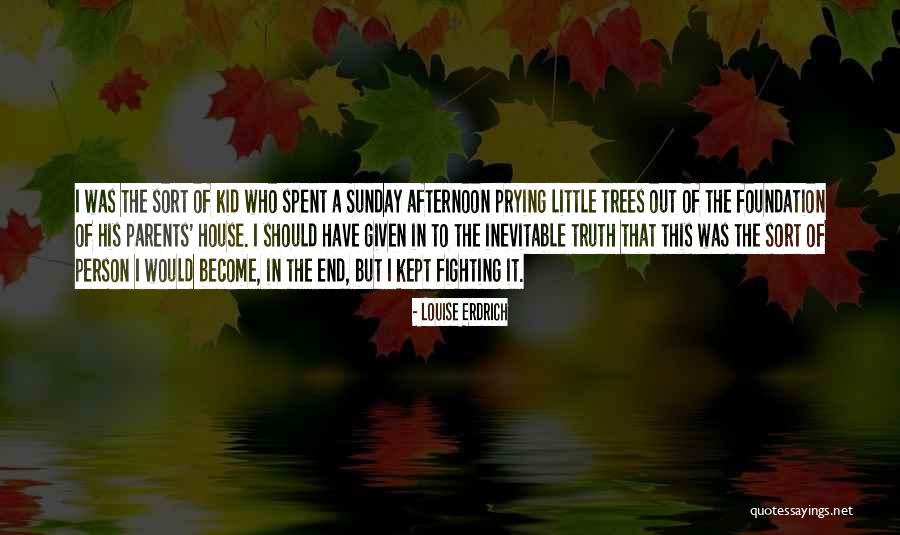 Sunday Afternoon Quotes By Louise Erdrich