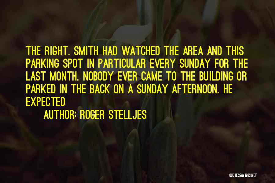 Sunday Afternoon Quotes By Roger Stelljes