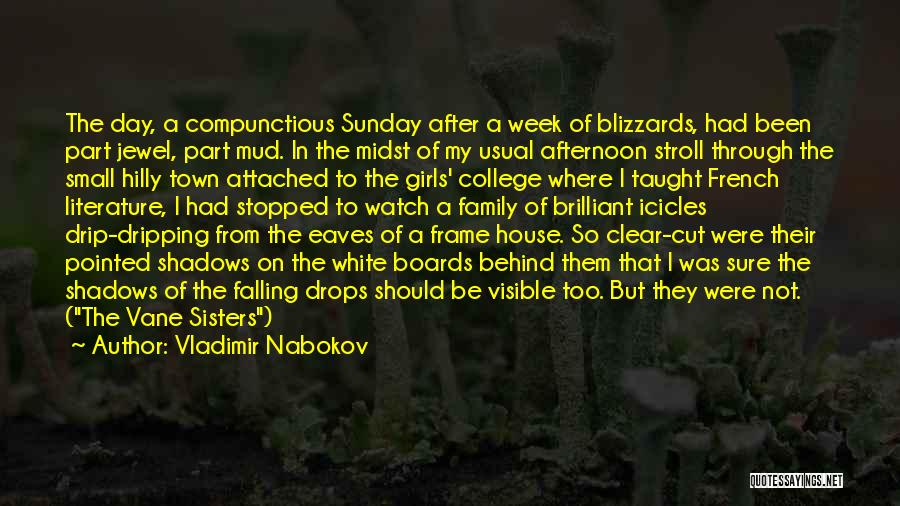 Sunday Afternoon Quotes By Vladimir Nabokov