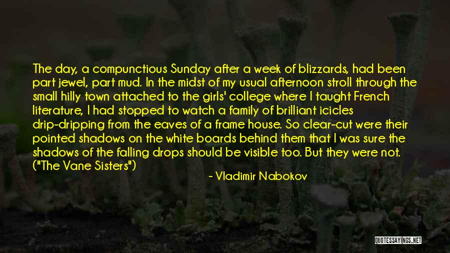 Sunday Afternoon Quotes By Vladimir Nabokov Sunday Afternoon Quotes By Vladimir Nabokov