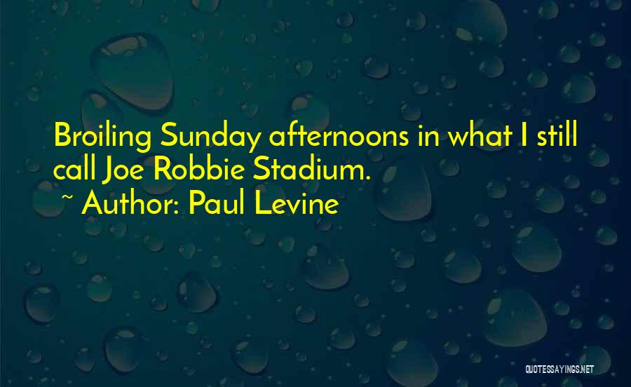 Sunday Afternoons Quotes By Paul Levine