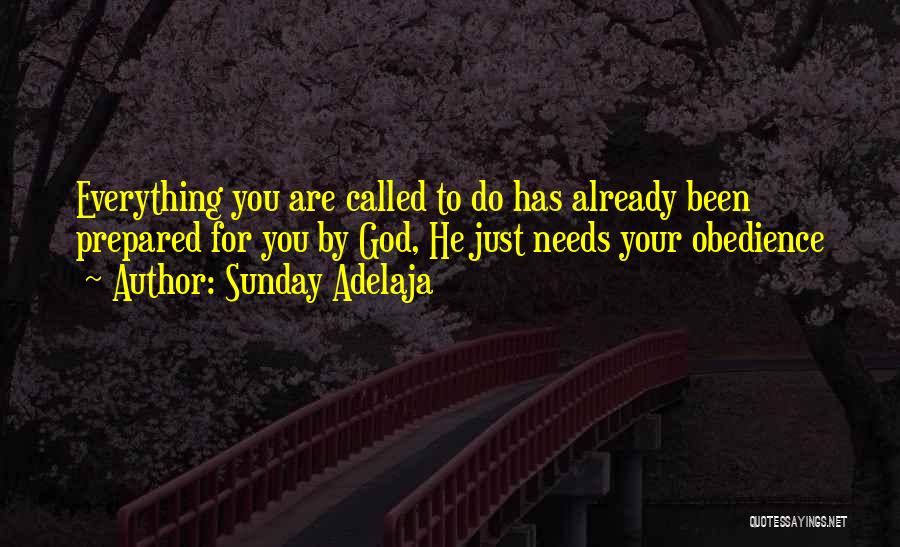 Sunday Already Quotes By Sunday Adelaja