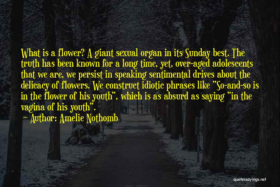 Sunday Drives Quotes By Amelie Nothomb