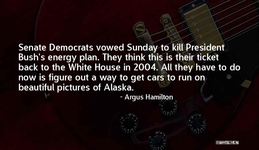 Sunday Energy Quotes By Argus Hamilton