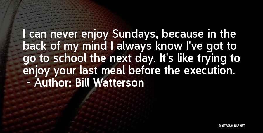 Sunday Enjoy Quotes By Bill Watterson