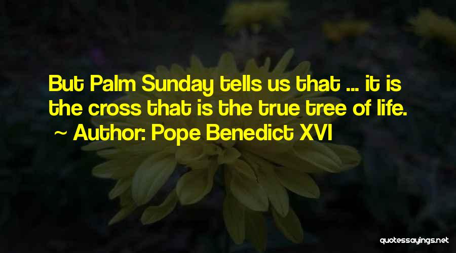 Sunday Palm Quotes By Pope Benedict XVI