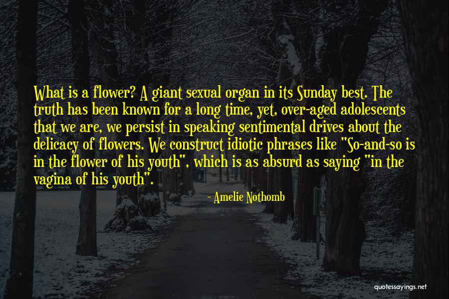 Sunday Phrases Quotes By Amelie Nothomb Sunday Phrases Quotes By Amelie Nothomb