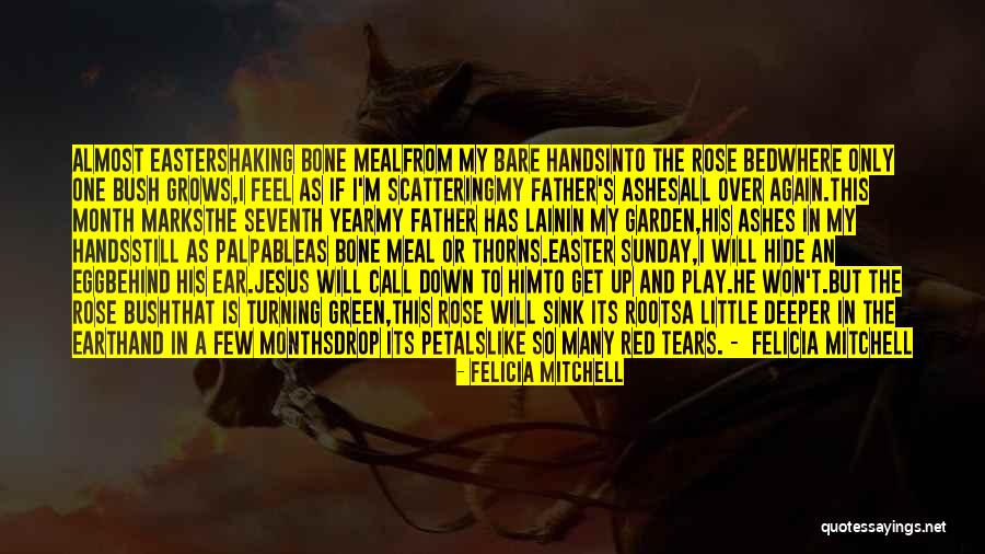 Sunday When Is Easter Quotes By Felicia Mitchell Sunday When Is Easter Quotes By Felicia Mitchell