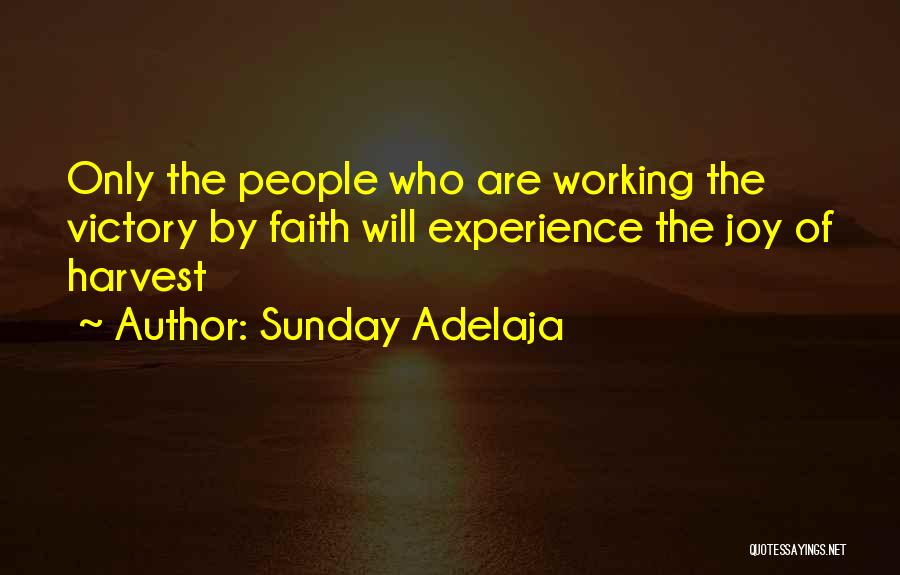 Sunday Working Quotes By Sunday Adelaja