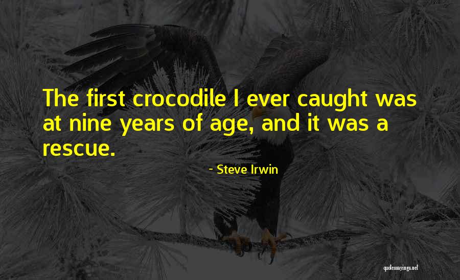 Sunderttaulend Quotes By Steve Irwin