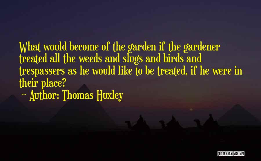 Suneja Cards Quotes By Thomas Huxley