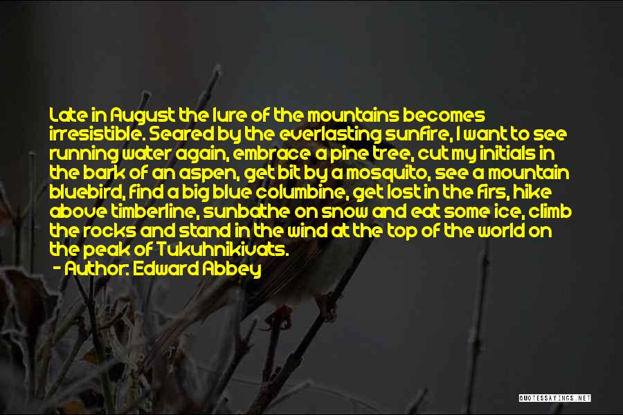 Sunfire Quotes By Edward Abbey