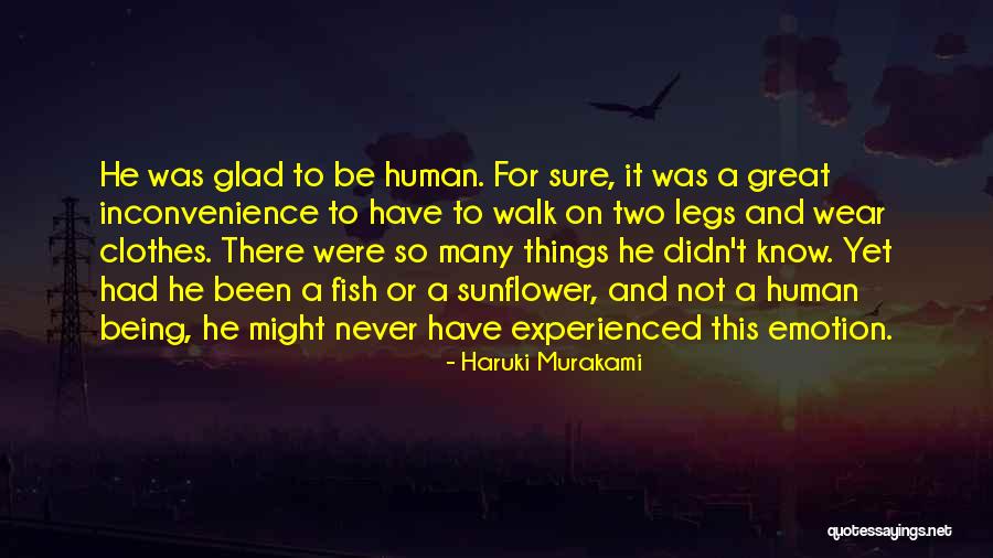 Sunflower And Love Quotes By Haruki Murakami Sunflower And Love Quotes By Haruki Murakami
