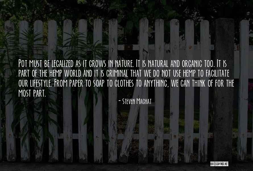Sunflower And Love Quotes By Steven Machat Sunflower And Love Quotes By Steven Machat