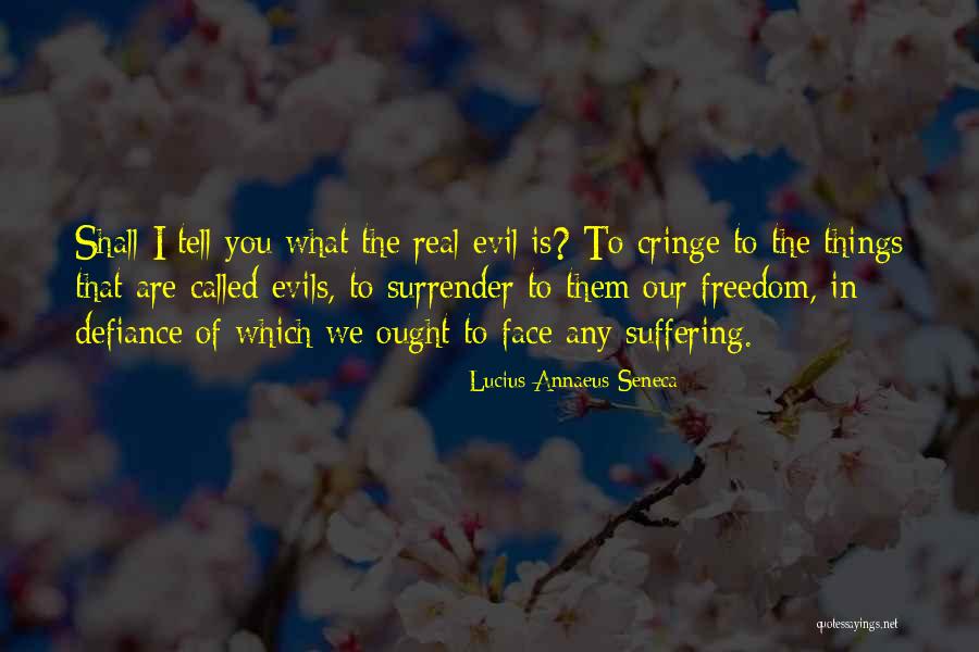 Sunflowers And Friendship Quotes By Lucius Annaeus Seneca Sunflowers And Friendship Quotes By Lucius Annaeus Seneca