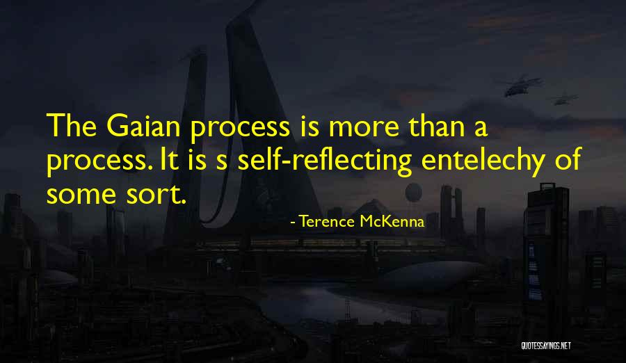 Sunjas Kimchi Quotes By Terence McKenna Sunjas Kimchi Quotes By Terence McKenna