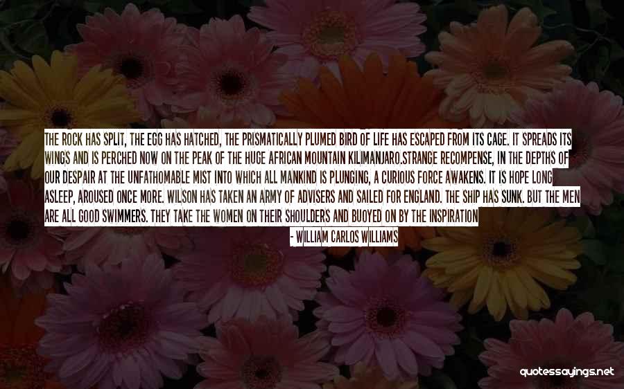 Sunk Ship Quotes By William Carlos Williams Sunk Ship Quotes By William Carlos Williams