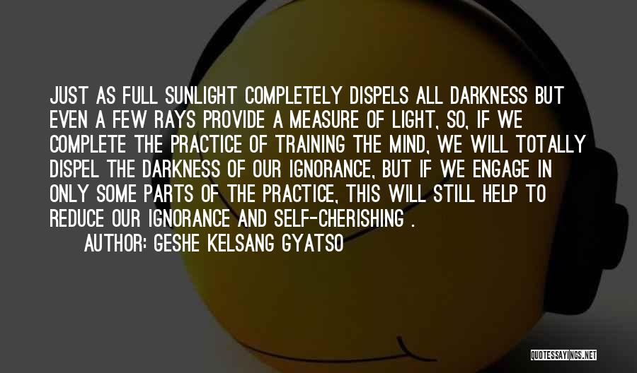 Sunlight And Darkness Quotes By Geshe Kelsang Gyatso
