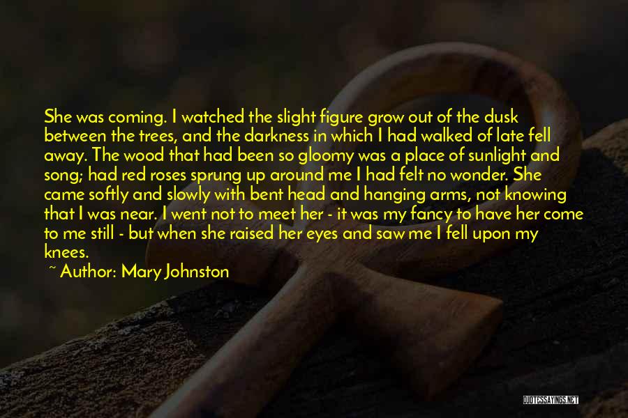 Sunlight And Darkness Quotes By Mary Johnston
