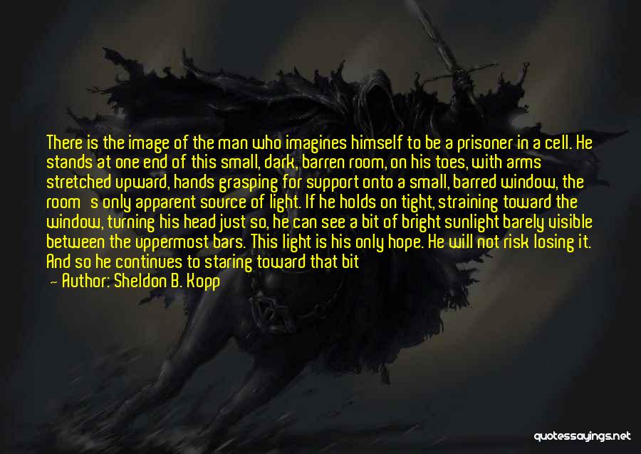 Sunlight And Darkness Quotes By Sheldon B. Kopp