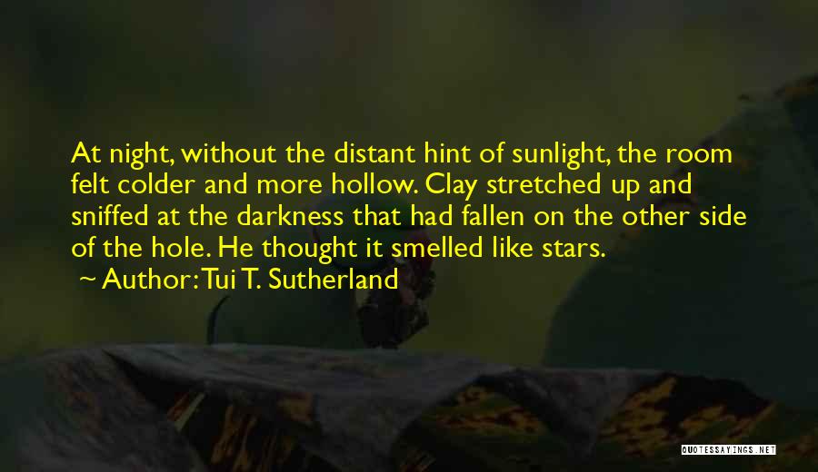 Sunlight And Darkness Quotes By Tui T. Sutherland