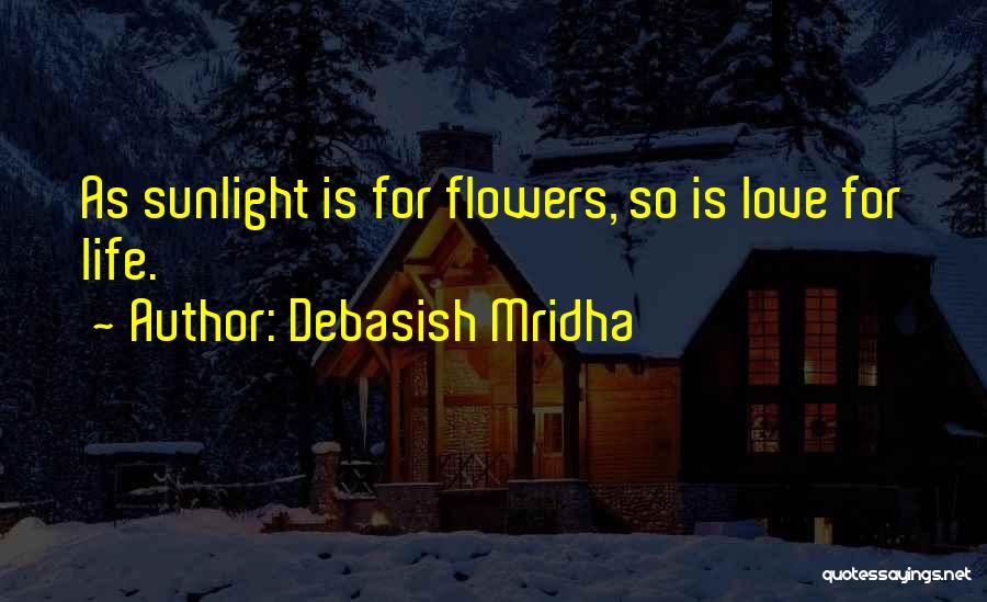 Sunlight And Happiness Quotes By Debasish Mridha