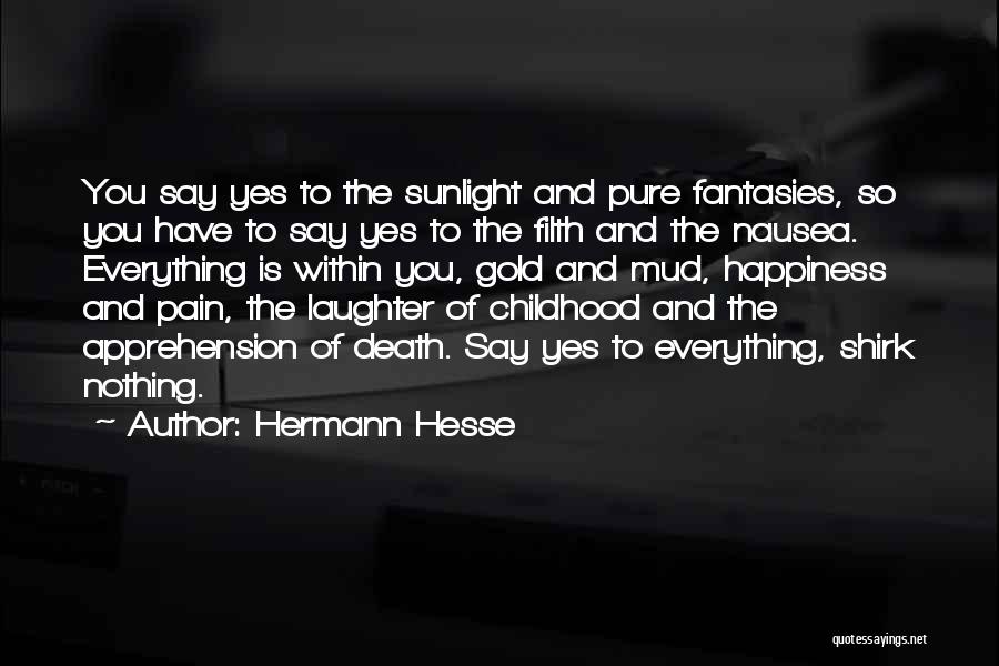 Sunlight And Happiness Quotes By Hermann Hesse