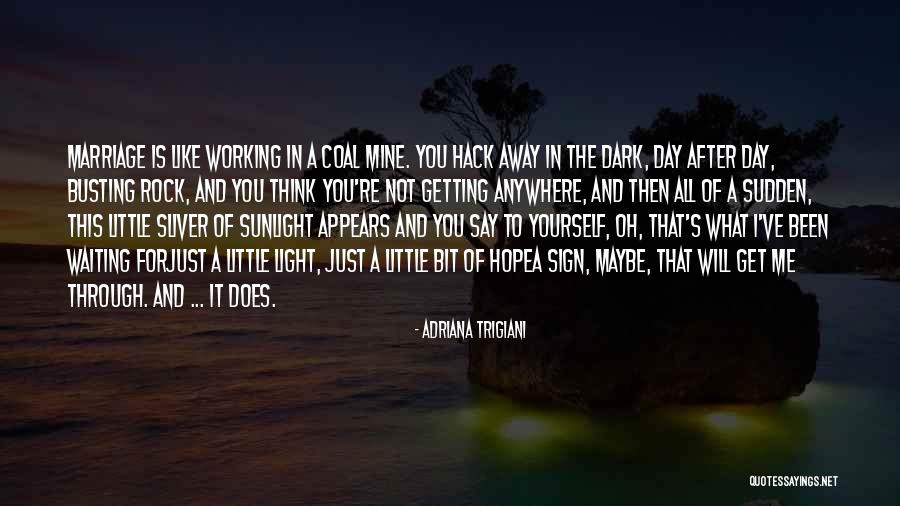 Sunlight And Hope Quotes By Adriana Trigiani Sunlight And Hope Quotes By Adriana Trigiani