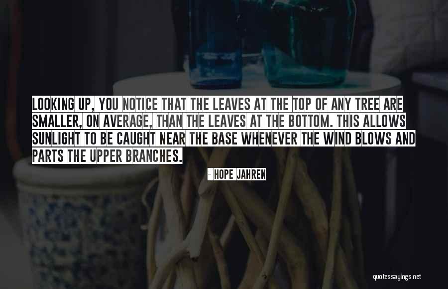 Sunlight And Hope Quotes By Hope Jahren Sunlight And Hope Quotes By Hope Jahren