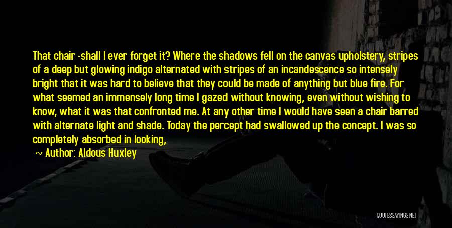 Sunlight And Shadow Quotes By Aldous Huxley