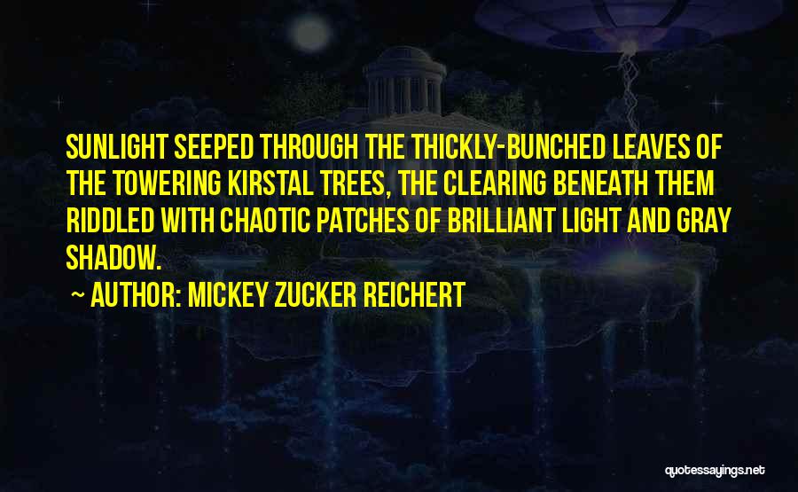 Sunlight And Shadow Quotes By Mickey Zucker Reichert