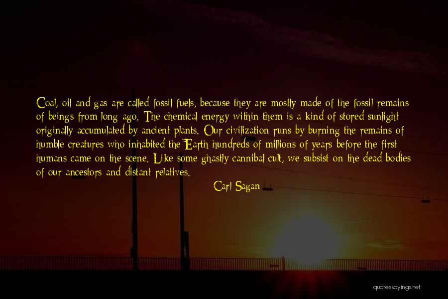 Sunlight Quotes By Carl Sagan